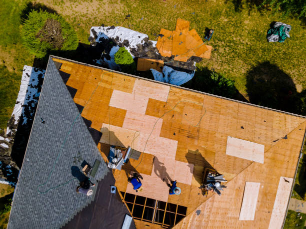 Best Roof Maintenance Services  in Dunellen, NJ