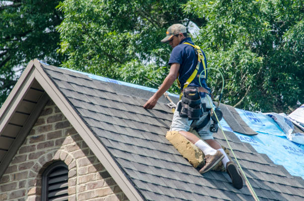 Best Roof Gutter Cleaning  in Dunellen, NJ